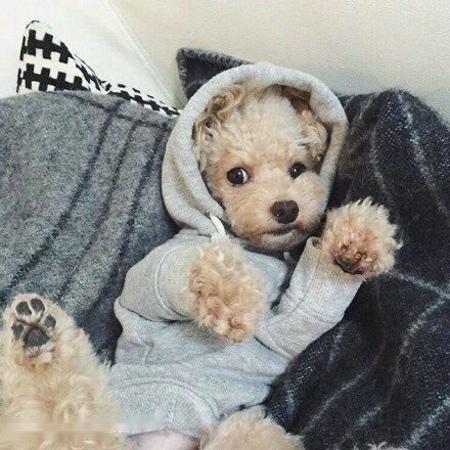 ҹȨͳһǼ202111ʵʩ